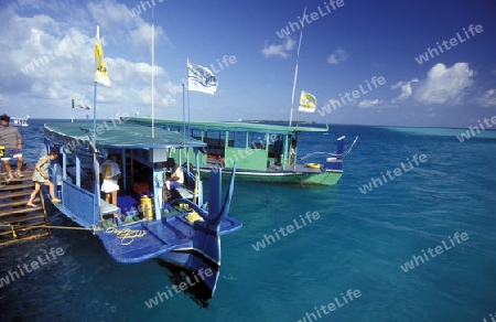 
Eine Tauchschule an der Insel Velavaru im Southmale Atoll auf den Inseln der Malediven im Indischen Ozean. 