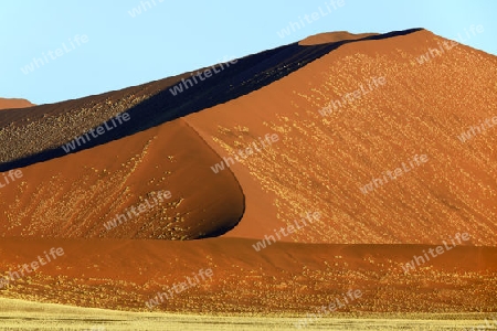 riesige Sandd?nen im letzten Abendlicht,  Namib Naukluft Nationalpark, Sossusvlei, Namibia, Afrika