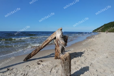 Treibholz am Strand