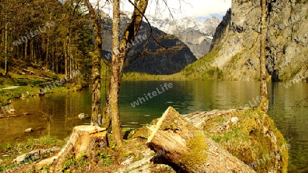 K?nigssee.Obersee.17