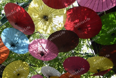 Traditionalle Schirme und Faecher aus Paier werden produziert in einer Papierschirm Fabrik in Chiang Mai im norden von Thailand in Suedostasien.