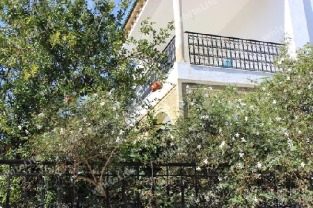 Haus mit Garten in Tunesien