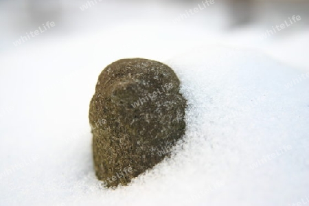 Vogeltraenke im Schnee