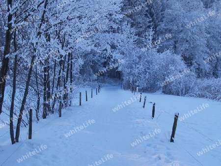 Winterlandschaft