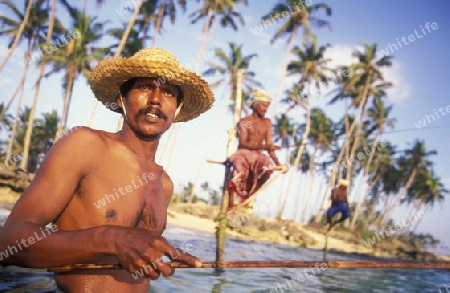 Asien, Indischer Ozean, Sri Lanka,
Traditionelle Fischer sogenannte Stelzenfischer beim Fischen in der naehe des Kuestendorf Ahangama an der Suedkueste von Sri Lanka. (URS FLUEELER)






