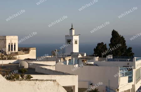 Afrika, Tunesien, Tunis, Sidi Bou Said, Altstadt, 
