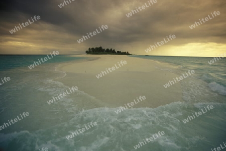 
Der Traumstrand mit Palmen und weissem Sand an der Insel Velavaru im Southmale Atoll auf den Inseln der Malediven im Indischen Ozean.   