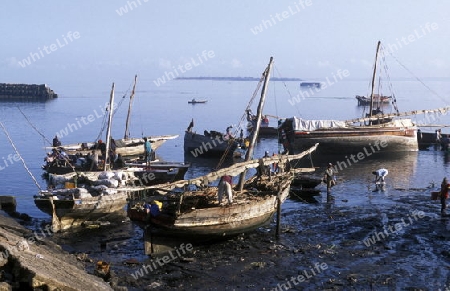 Die Altstadt von Stone Town  oder Zanzibar Town der Hauptstadt der Insel Sansibar im Indischen Ozean in Tansania in Ostafrika.