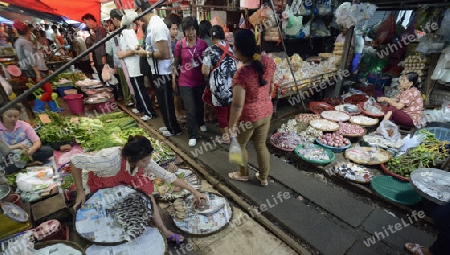 the Maeklong Railway Markt at the Maeklong railway station  near the city of Bangkok in Thailand in Suedostasien.