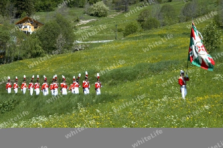 Herrgottsgrenadiere im L?tschental/Schweiz