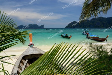 A Beach on the Island of Ko PhiPhi on Ko Phi Phi Island outside of the City of Krabi on the Andaman Sea in the south of Thailand. 