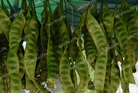 Gemuese auf einem Regional Markt auf der Insel Phuket im sueden von Thailand in Suedostasien.