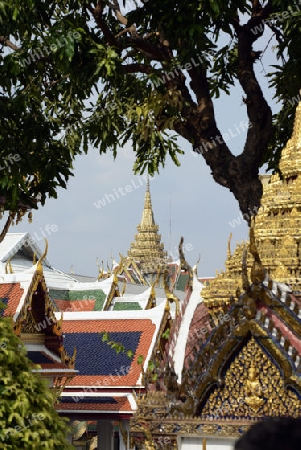 Der Wat Phra Kaew in der Stadt Bangkok in Thailand in Suedostasien.