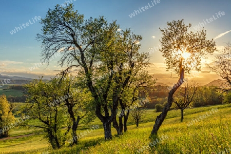 Landschaft, Baselland