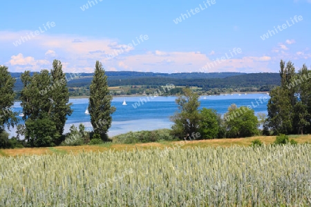 Landschaft mit Feldern und B?umen und Blick auf den Bodensee