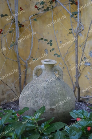 Tonvase im Garten