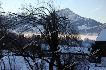 Baum mit Berg