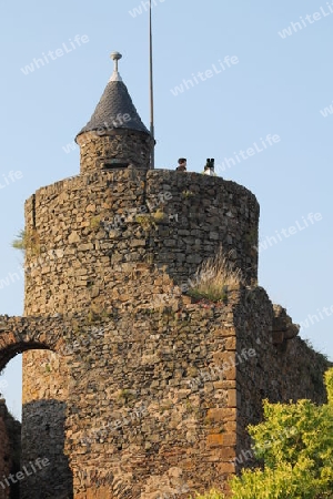 Burg Mittelalter 10. Jahrhundert