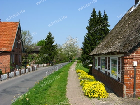 Altes Land. Wohnen am Deich