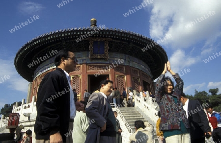 the temple of heaven in the tiantan park in the city of beijing in the east of china in east asia. 