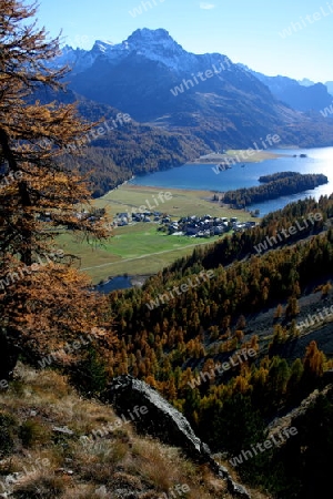 Silsersee