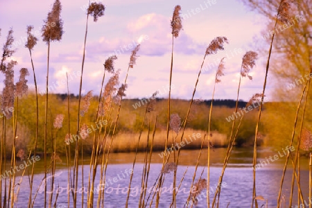 Kleiner Fluss