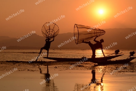 Fishermen at sunset in the Landscape on the Inle Lake in the Shan State in the east of Myanmar in Southeastasia.