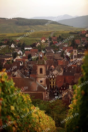 the olt town of the village of Riquewihr in the province of Alsace in France in Europe