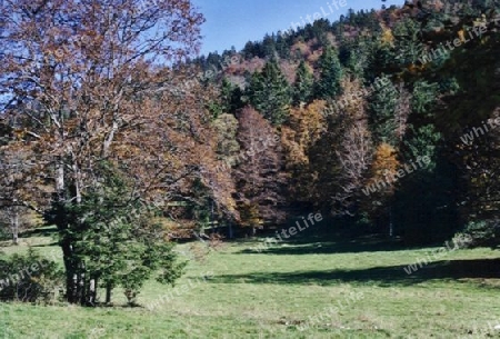 Herbst im Jura