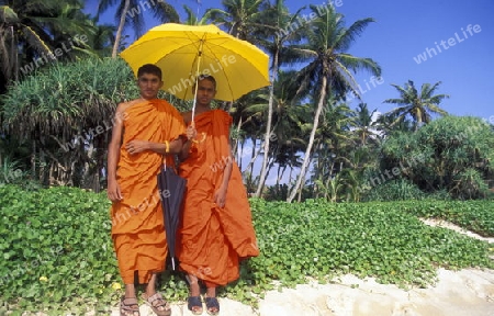 Zwei Moenche am Strand von Weligama im sueden von Sri Lanka in Asien.