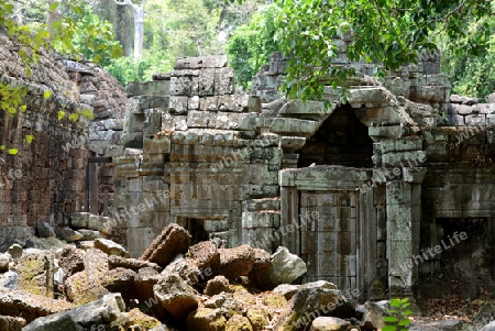 The Temple of  Preah Khan in the Temple City of Angkor near the City of Siem Riep in the west of Cambodia.