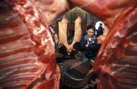 the meat Market in the city of Canton or Guangzhou in the north of Hongkong in the province of Guangdong in china in east asia. 