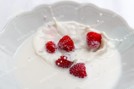 Himbeere faellt in Milch, Raspberry falls into milk