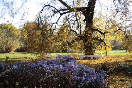 Die Freundschaftsinsel im Frühling