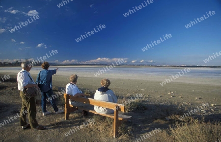 Der Salzsee bei Larnaka im sueden der Insel Zypern im Mittelmeer in Europa .