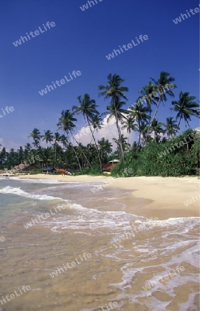 Asien, Indischer Ozean, Sri Lanka,
Ein Traumstrand beim Kuestendorf Hikkaduwa an der Suedwestkueste von Sri Lanka. (URS FLUEELER)






