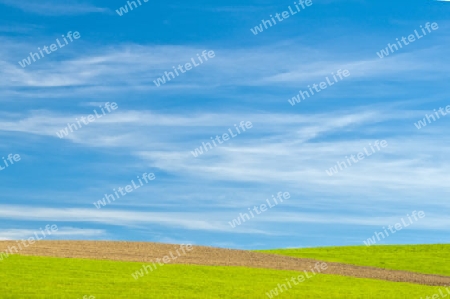 Wiese mit Acker bei blauem Himmel mit Schleierwolken