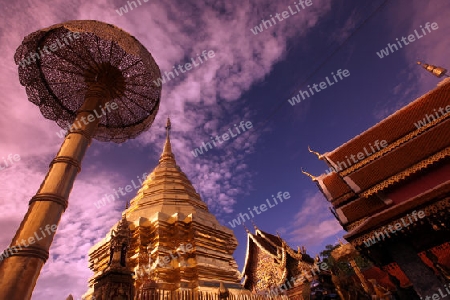 Der Chedi der Tempel Anlage des Wat Phra That Doi Suthep bei Chiang Mai in der Provinz Chiang Mai im Norden von Thailand in Suedostasien.