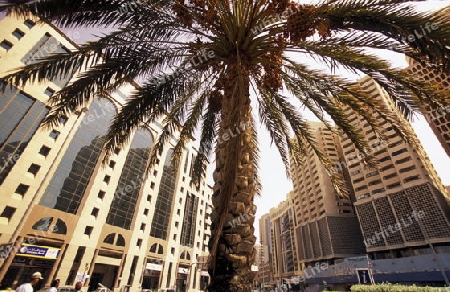 the skyline in the old town in the city of Dubai in the Arab Emirates in the Gulf of Arabia.