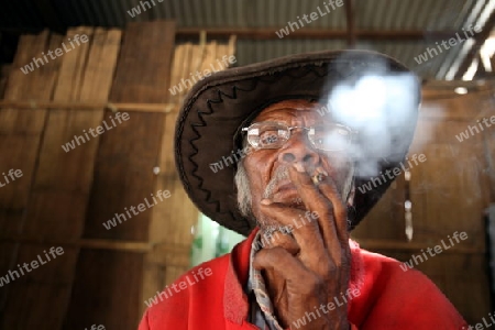 Ein Bauer vor seinem Haus in einem Bauerndorf beim Bergdorf Maubisse suedlich von Dili in Ost Timor auf der in zwei getrennten Insel Timor in Asien