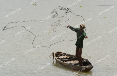 Ein Fischer auf dem Moon River in der Umgebung von Ubon Ratchathani im nordosten von Thailand in Suedostasien.