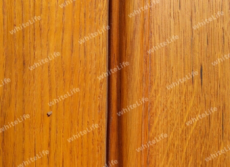 Detailed close up view on different wood surfaces showing planks logs and wooden walls in high resolution