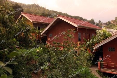 Hotel Bungalow im Bergdorf Mae Salong in der Huegellandschaft noerdlich von Chiang Rai in der Provinz Chiang Rai im Norden von Thailand in Suedostasien.