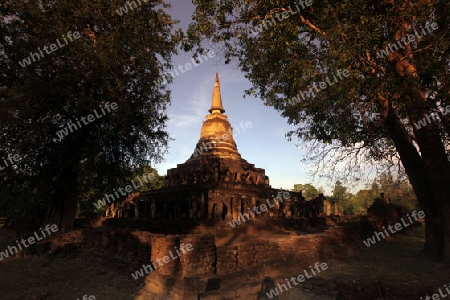 Der Wat Chang Lom im Si Satchanalai-Chaliang Historical Park rund 50 Km von Sukhothai in der Provinz Sukhothai im Norden von Thailand in Suedostasien.