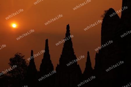 Der Wat Chai Wattanaram Tempel in der Tempelstadt Ayutthaya noerdlich von Bangkok in Thailand. 