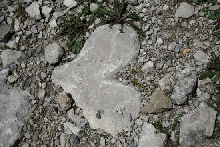 Steinherz mitten auf einem Wanderweg in den Alpen