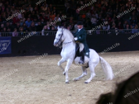 Equitana2007