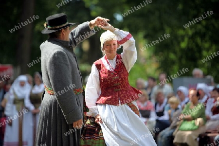 a Summer Festival in a Parc in the old City of Vilnius in the Baltic State of Lithuania,  