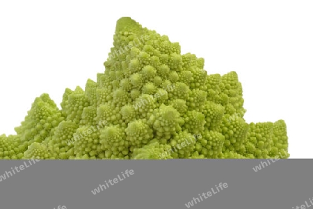 Romanesco auf hellem Hintergrund