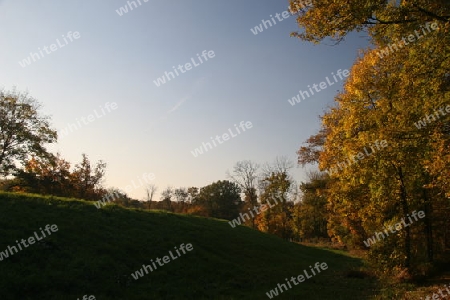 Herbststimmung